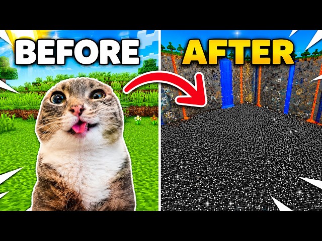 Minecraft but With Cats | (Part 1)