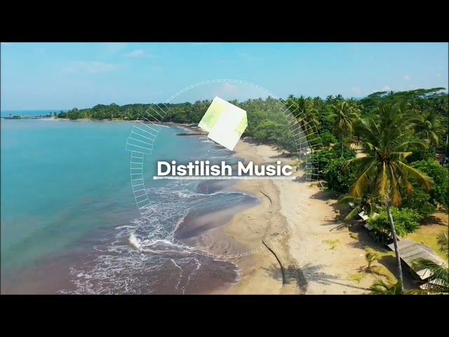 Distilish - Midnight (No CopyRight Music) + MP3