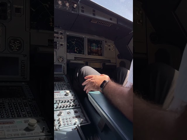 Flight from Amman to Cairo and back #travel #aviation #airbus #pilot