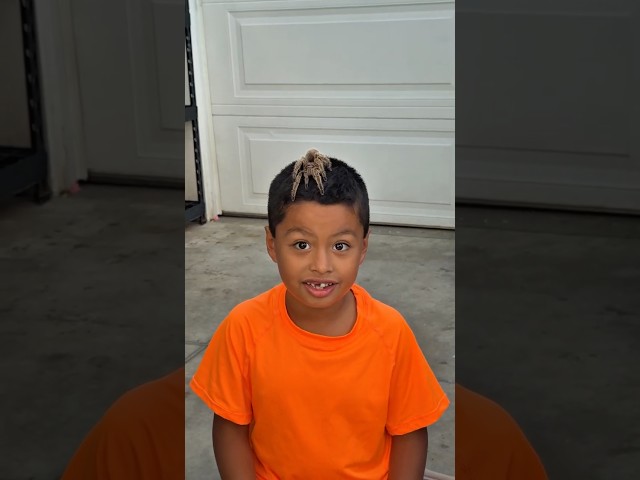 Huge Tarantula On Jeremy’s head #shorts #shortvideo #kids