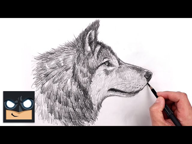 How To Draw a Wolf for Beginners | Beginner Pencil Tutorial (Step-by-Step)