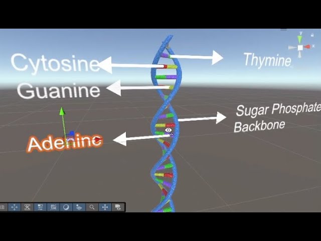 AR-Based Human Anatomy and Medical Visualization Using Unity and AR core