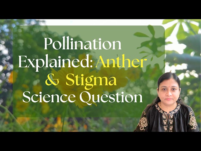 Pollination Explained: Anther, Pollen & Stigma | Science Question
