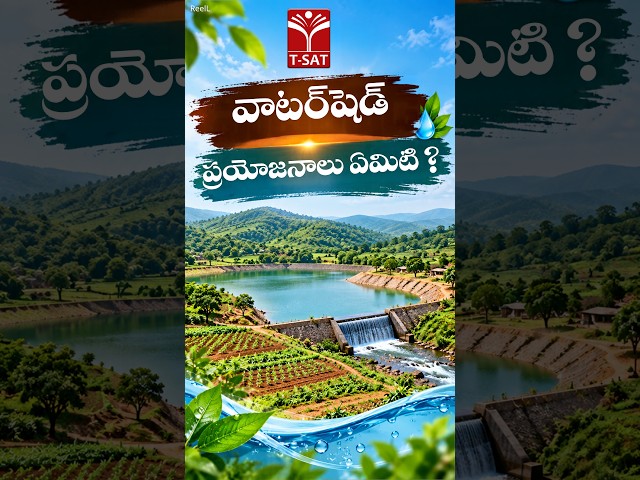 వాటర్‌షెడ్ ప్రయోజనాలు ఏమిటి ? | T-SAT
