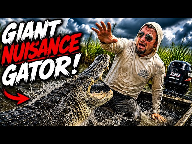 I Fell Out of the Boat Fighting a GIANT Alligator