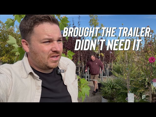 Went To Buy A Bunch Of Trees, It Didn’t Go As Planned….