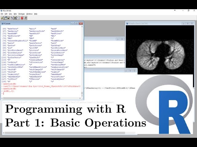 Programming with R (Part 1) - Basic Operations