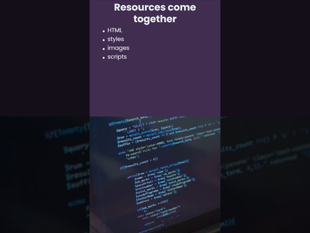 How Does a Website Finally Appear on Your Screen? 💻