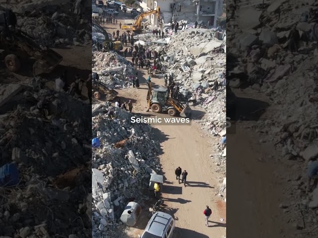 Earthquake features | 2024 GCSE Geography Exams #gcse #geography #aqa