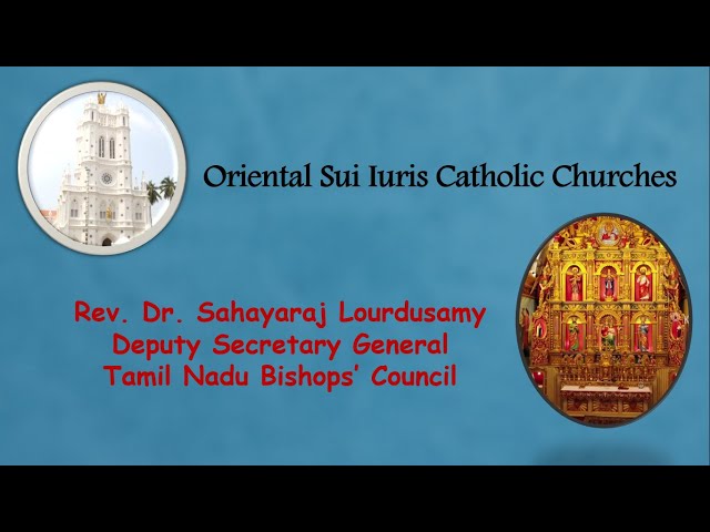6. Canon Law in English : Oriental sui iuris Catholic Churches