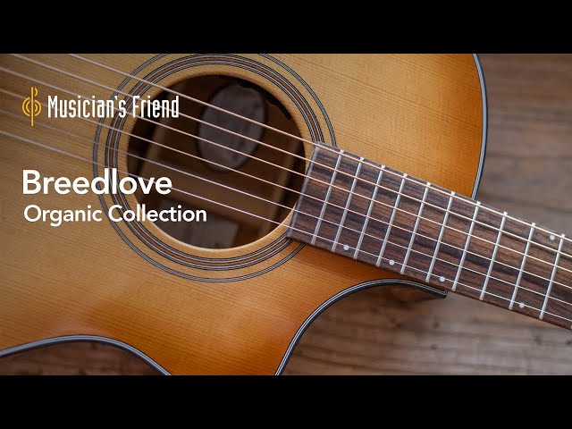 A Closer Look at the Breedlove Organic Collection Acoustic Guitars