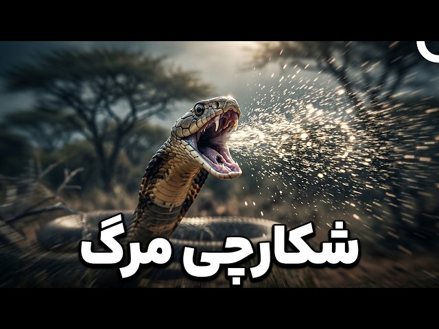 Africa's Deadly Snakes
