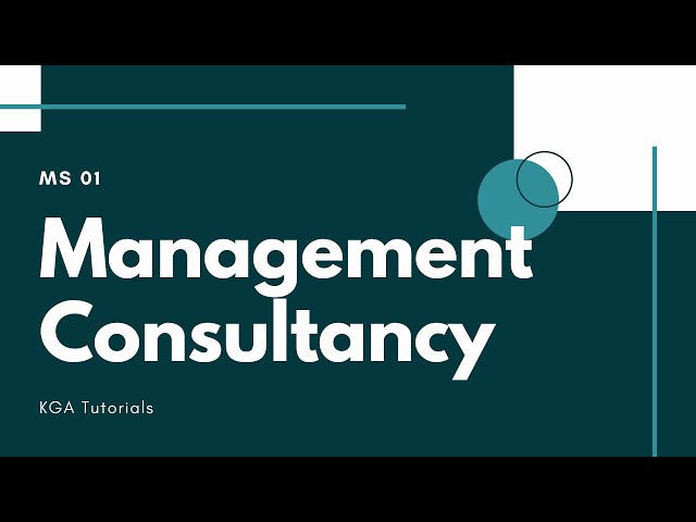MS 01 - Management Consultancy