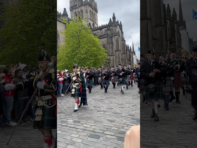 Massed Bands March Through Edinburgh, Royal mile. #shorts #viral #bagpipes #scotland