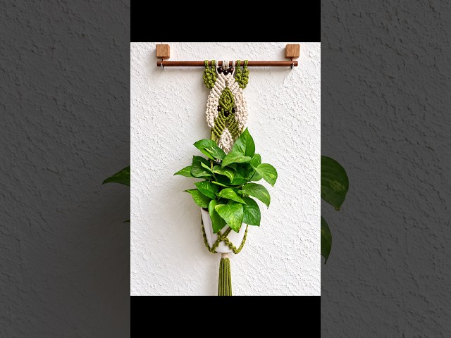 Macrame Plant Hanger 2026 #macrameplanthanger #planthanger #planthanger #macramedesign #macrame #diy
