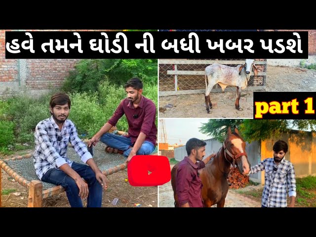 હવે તમારે ઘોડી ની માહીતી માટે કોય ને પૂછવું નઈ પડે 🐴