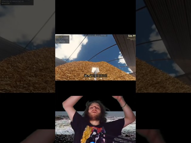 Needle in a haystack game gone wrong #gaming