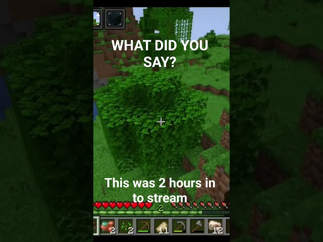 WHAT DID YOU SAY??? #minecraft #gaming #clips #funny