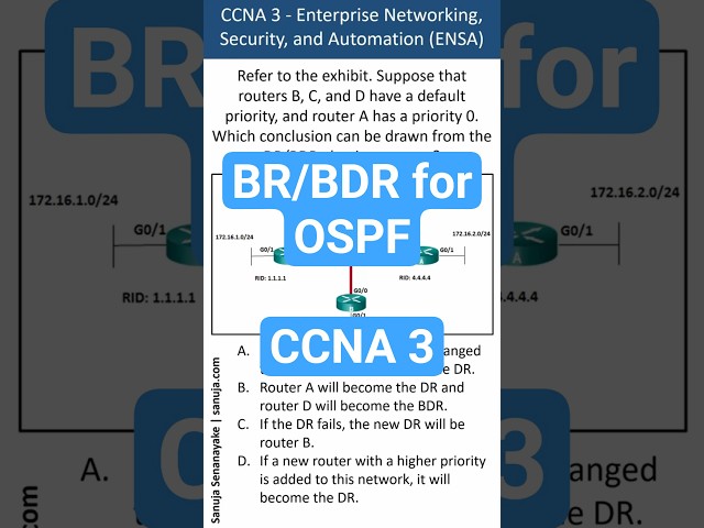 DR/BDR election process​ - CCNA Bite 33