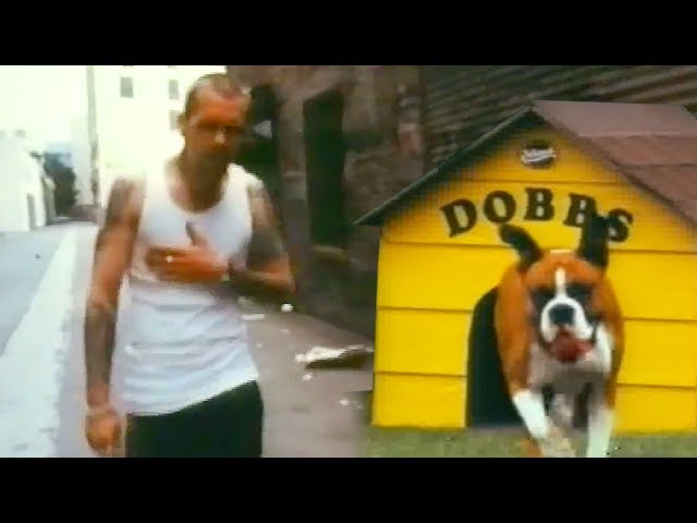 Snot - Stoopid [Official Video] [HD - BEST QUALITY]