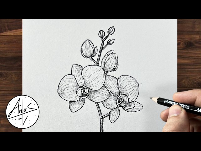 Easy Orchid Flower Drawing 🌸 | Simple Pencil Sketch Tutorial for Beginners