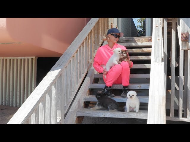 Paris Hilton's Home Activities: Malibu Quarantine Edition | Paris Hilton