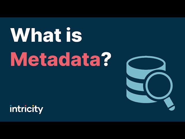 What is Metadata?