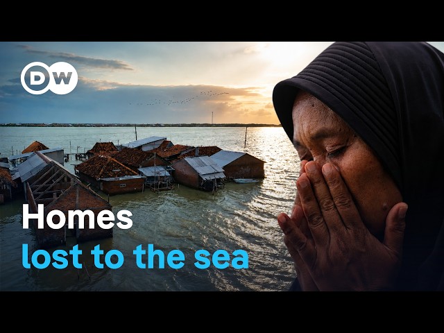 Displaced on Java - A village battling rising sea levels | DW Documentary