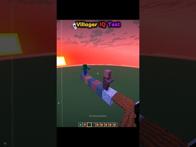 Minecraft Villager IQ Test...🤯 (Payphone)
