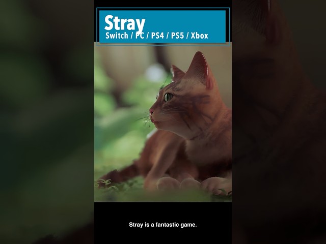 SHORT GAMES When You Have No Time: Stray