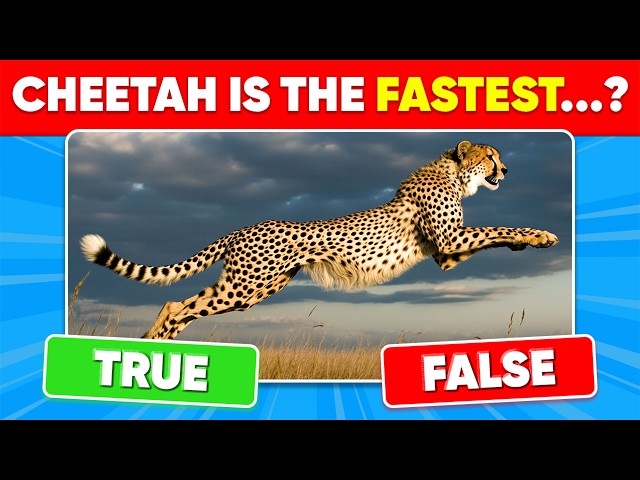 TRUE or FALSE Quiz...? ✔️❌ 60 General Knowledge Questions 🧠 Quiz Dino