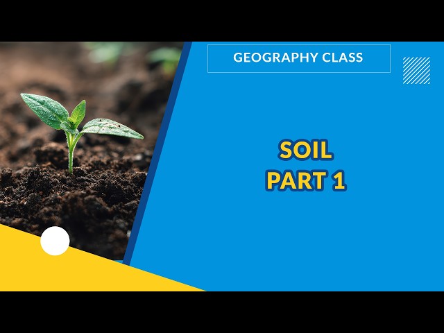 SOIL PART 1  | GEOGRAPHY |  EXAMGUIDE