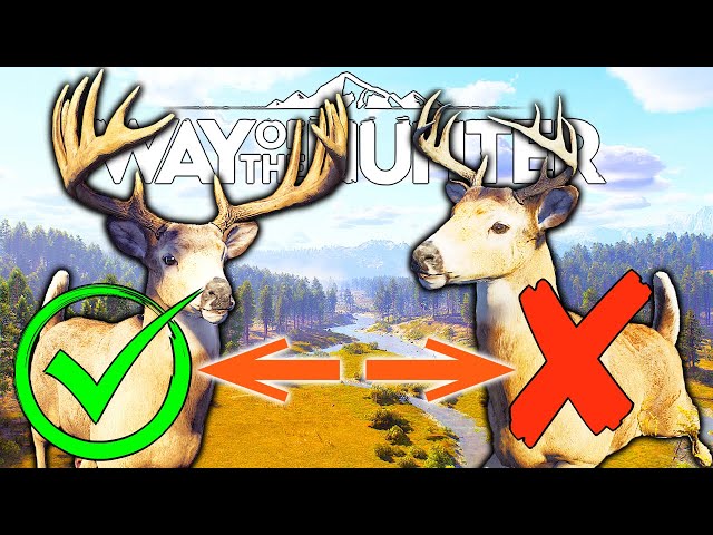 What to Shoot and What Not to Shoot Guide | Way of the Hunter