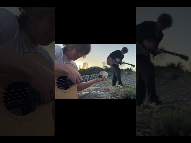 Those harmonics are so clean though… #shorts #guitar #fingerstyle