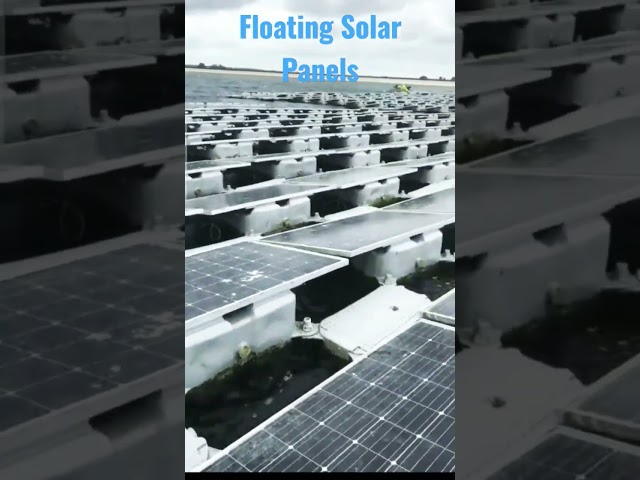 Floating Solar Panels #shorts #electrical