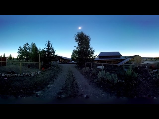 Solar Eclipse 2017 - Nature Reacts