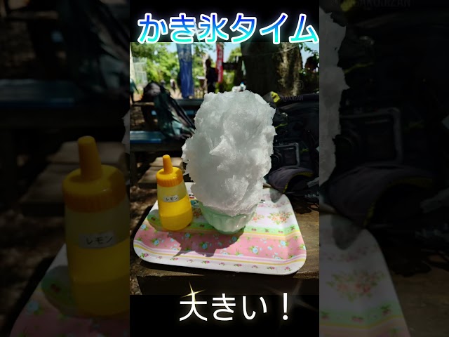 【トレッキング】よく晴れた日には山に登ろう！今回は、レモン味！この時期、富士山がキレイ！