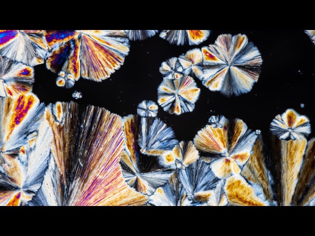 The future runs on proof | Scale AI