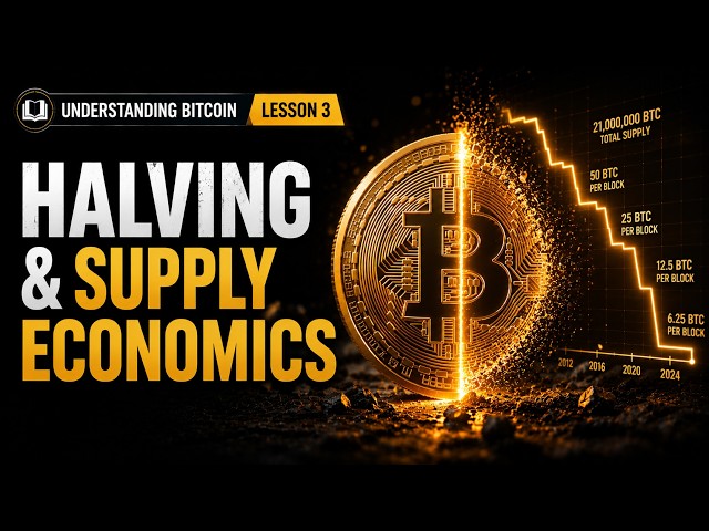 Bitcoin Halving Explained: The Math Behind Supply Scarcity