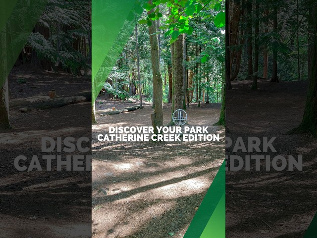 Discover Catherine Creek Park in Lake Stevens