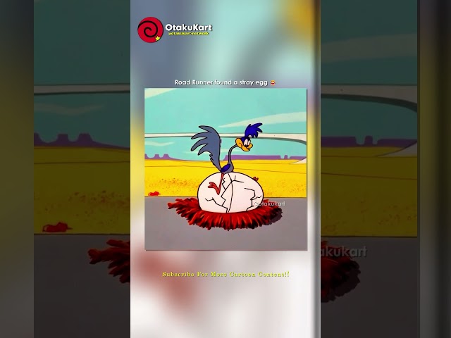 Road Runner found a stray egg 😂 #shorts #cartoon
