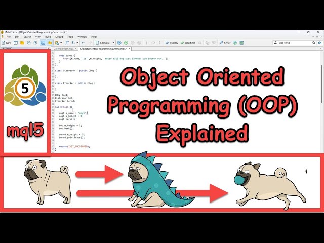 Introduction to Object Oriented Programming (OOP) in MetaTrader Programming (mql5)