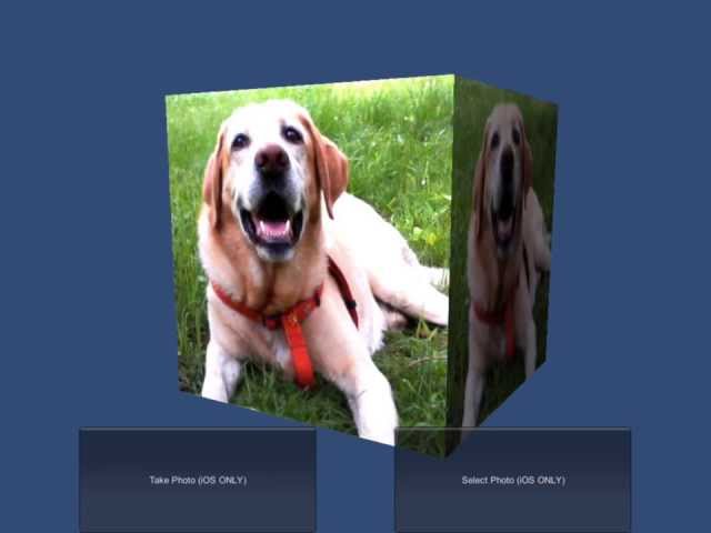 Unity PlugIn iOS LoadTexture from ImagePicker
