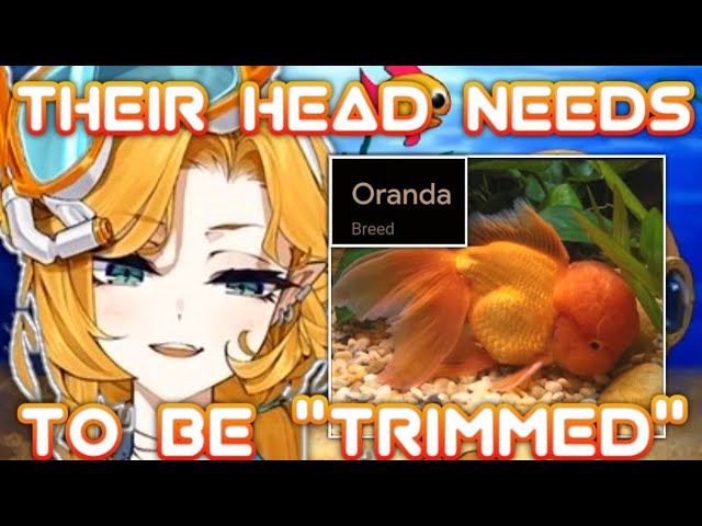 Doki and the "Tumor" Head Goldfish||Dokibird||ENVtuber/IndieVtuber