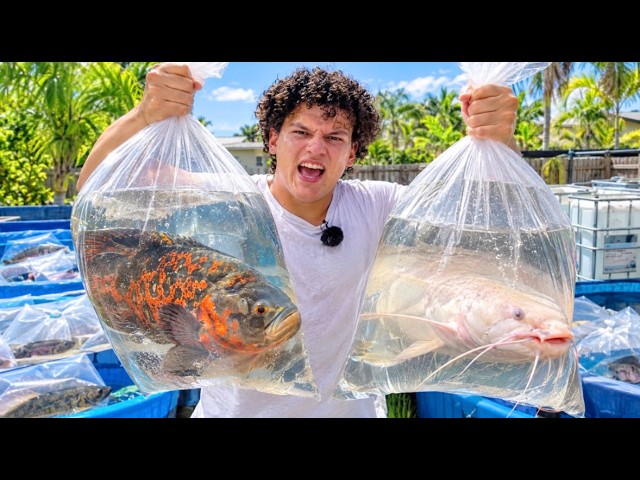 I’m SELLING My Backyard MONSTER FISH!