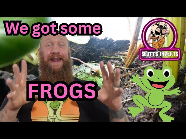 FROGS
