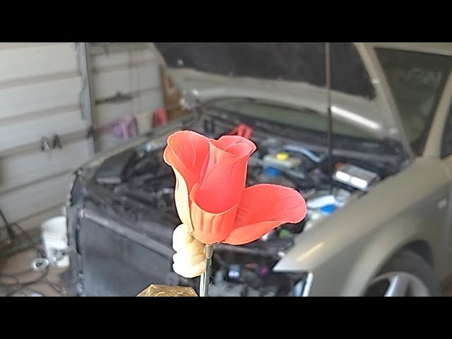 Live: The Audi Is Dead