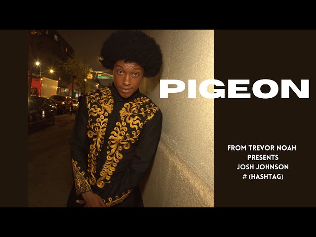 Josh Johnson | Pigeon