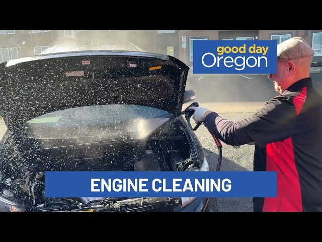 Behind the Wheel: Engine cleaning