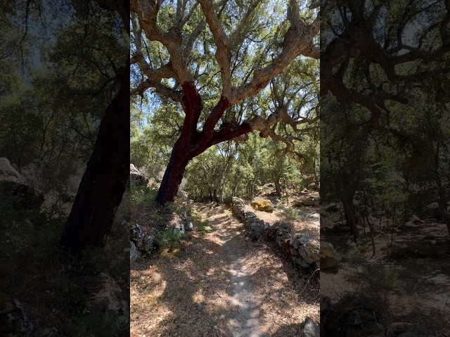 Countryside Portugal | Marvão, Serra São Mamede - countryside sounds for sleeping #portugal #asmr